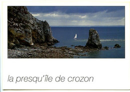 CPSM 10.5 X 15 Finistère La Presqu'ile De CROZON   La Pointe De Porzic - Crozon