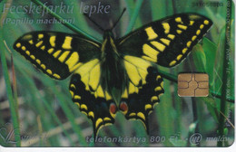 TARJETA DE HUNGRIA DE UNA MARIPOSA (BUTTERFLY) TIRADA 30000 - Butterflies