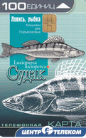 TARJETA DE RUSIA DE UNOS PECES (PEZ-FISH) - Pesci