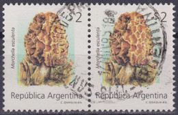 Argentine YT 1840 Mi 2208 Année 1994 (Used °) Champignons - Mushrooms - Usati