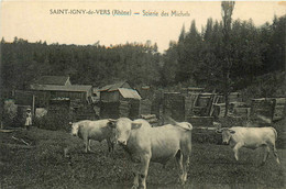 St Igny De Vers * La Scierie Des Michels * Métier Bois * Troupeau Vaches - Andere & Zonder Classificatie