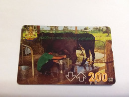 Thailand  - Kuh Cow Animal  T 256 - Kings Projekt - TOT  200 Baht - Thaïland