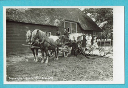 * Zuid Beveland - Goes (Zeeland - Nederland) * (nr 117 - Fotokaart) Zeeuwsche Hofstede, Attelage Cheval, Folklore, Ferme - Goes