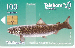 TARJETA DE ESLOVENIA DE UN SALMON 100 IMPULZOV (FISH-PECES-PEZ) - Peces