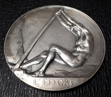 BELGIQUE MEDAILLE  L'EFFORT HOMMAGE DE GRATITUDE DES ACIERIES ET MINIERES DE LA SAMBRE A DELAUW ARMAND OCTOBRE 1962 - Profesionales / De Sociedad