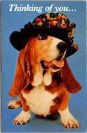 Dogs Humour Dog Wearing Hat - Chiens