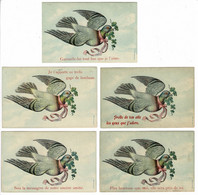 Lot 5 X CPA Carte Fantaisie Fantasiekaart Paloma Pigeon Taube Duif Duiven Birds - Oiseaux