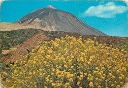 Postcard Spain Tenerife El Teide Y Flores - Tenerife