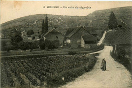 Grusse * Route Et Vue Sur Le Village * Un Coin Du Vignoble * Vignes Vin - Andere & Zonder Classificatie