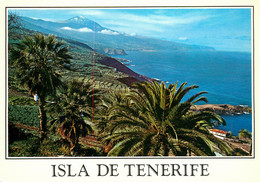 CPSM Canarias-Tenerife    L1928 - Tenerife