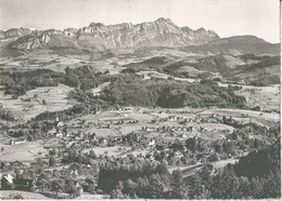 Teufen - Blick Gegen Den Säntis           Ca. 1950 - Teufen