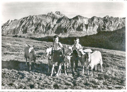 Urnäsch - Hochalp (Blick Zum Säntis)     Ca. 1940 - Urnäsch