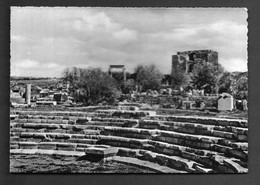 Byblos Ruins, Postcard From Lebanon , Liban Libanon Libano - Liban