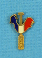 1 PIN'S // ** FFCK / COQ TRICOLORE / FÉDÉRATION FRANÇAISE DE CANOÉ-KAYAK ** - Canoeing, Kayak