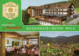 Bodenmais / Hotel "Mooshof" (D-A385) - Bodenmais