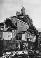 FOIX    BORDS DE L ARIEGE - Foix