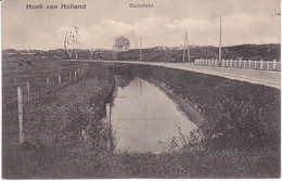 Hoek Van Holland Duinzicht MW439 - Hoek Van Holland