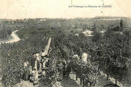Asques Fronsac * Domaine De PARZON Parzon Léo MOREAU Propriétaire * Vignes Vignoble Vin Viticulteur Vendanges - Other & Unclassified