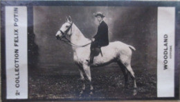 ► Maurice Percy WOODLAND (Jockey Hippisme Né à Ascot)  - 2ème Collection Photo Felix POTIN 1908 - Félix Potin