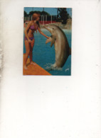 CP - DAUPHINS - Les Dauphins Du Marineland, Et Leur Jolie Soigneuse - 1987 - - Dauphins