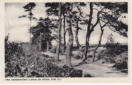 EDE Tra Langs De Heide MW459 - Ede