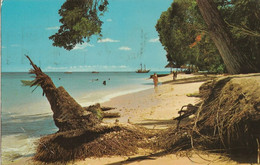 Beach Scene, St. James Coast, Barbados, West Indies - Barbades