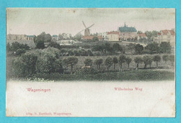 * Wageningen (Gelderland) * (Uitg G. Nordholt) KLEUR, Wilhelmina Weg, Moulin, Molen, Panorama, Unique, TOP - Wageningen