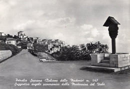 PETRALIA SOPRANA - CARTOLINA FG SPEDITA NEL 1964 - BALCONE DELLE MADONIE - MADONNINA DEL VIALE - Palermo