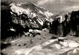 Tschiertschen - Rungs Mit Weißhorn (1109) * 29. 12. 1965 - Tschiertschen