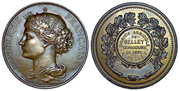 BELLEY Concours De 1889 - Professionnels / De Société