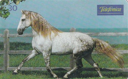 BRAZIL(Telefonica) - Horse, 05/99, Used - Horses