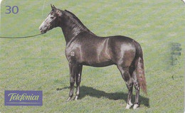 BRAZIL(Telefonica) - Horse, 05/99, Used - Horses