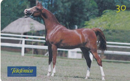 BRAZIL(Telefonica) - Horse, 05/99, Used - Cavalli