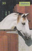 BRAZIL(Telefonica) - Horse, 05/99, Used - Cavalli