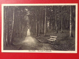 AK Binz Sellin Rügen Hochufer Promenade Ca. 1920 - Sellin