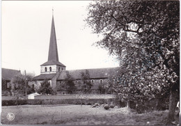 Maaseik-Aldeneik, Romaanse Kerk - Maaseik
