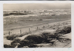 NOORD-HOLLAND - EGMOND Aan Zee, Zee En Duin, 1960 - Egmond Aan Zee