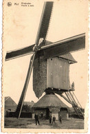 Prentbriefkaart Mol - Windmolen (moulin à Vent) (niet Verzonden) - Böchout