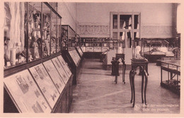 Tervueren - Musée Du Congo - Salle Des Produits - Tervuren