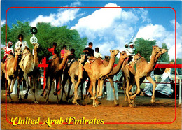 (4 M 18) Unitad Arab Emirates - Camel Race / Course De Chameaux / سباق الجمال - Emirati Arabi Uniti