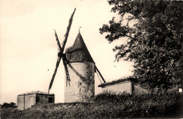 Mortagne Sur Gironde * Vue Sur Le Moulin à Vent * Minoterie - Other & Unclassified