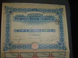 Share Action " Petroles Bellik à Grosnyi " Paris 1921 Russie Russia Excellent état,avec Tous Les Coupons - Rusia