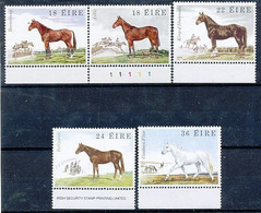 TIMBRE STAMP ZEGEL THEMATIQUE CHEVAL PAARD HORSE IRLANDE EIRE  XX - Paarden