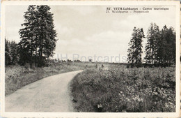 St Vith Luftkurort - Centre Touristique - Waldpartie - Promenade - 23 - Old Postcard - Belgium - Unused - Saint-Vith - Sankt Vith