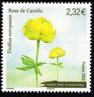French Andorra - 2022 - Globe Flower (Trollius Europaeus) - Mint Stamp - Nuevos