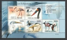 Comores 2011 Kleinbogen Mi 3023-3027 MNH BIRDS - FLAMINGO - HERON - Flamants