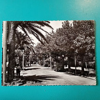 Cartolina Porto S. Giorgio - Viale F. Cavallotti. Viaggiata 1954 - Fermo