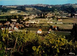 Virieu Sur Bourbre * Vue Générale Sur Le Village - Virieu