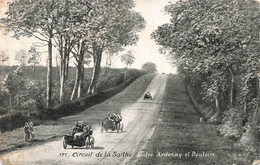 CPA Sport - Circuit De La Sarthe - Entre Ardenay Et Bouloire - Course Automobile - Autres & Non Classés