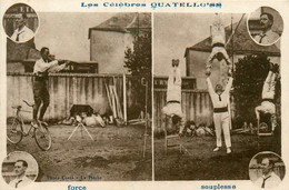 Cirque Circus * Les QUATELLO'SS * Troupe Artistes , Numéros De Souplesse & Force - Zirkus